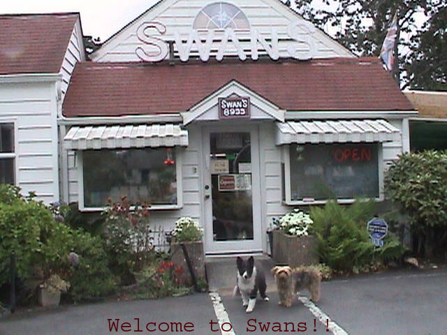 Swans Candle Making Supplies